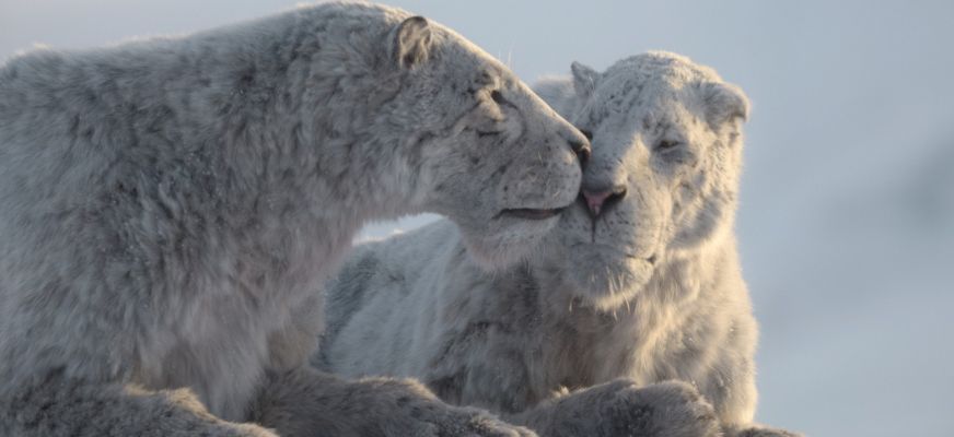 Prehistoric Planet Ice Age featured