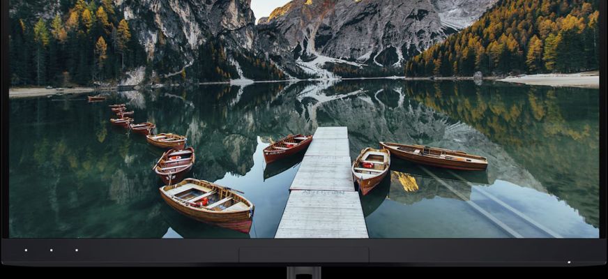 NP Portrait Displays Dell Monitor